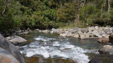 Pristine mountain stream flowing over boulders in forest Stock Footage 99140171