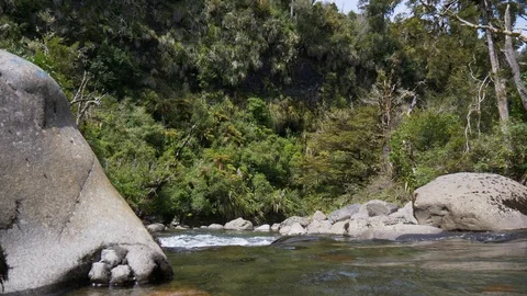 Pristine mountain stream flowing over boulders in forest Stock Footage 99142260