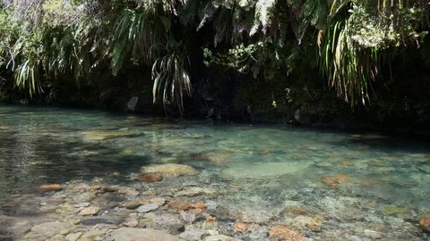 Pristine mountain stream flowing over boulders in forest Stock Footage 99142769