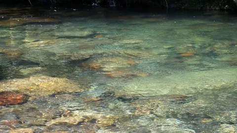 Pristine mountain stream flowing over boulders in forest Stock Footage 99143459