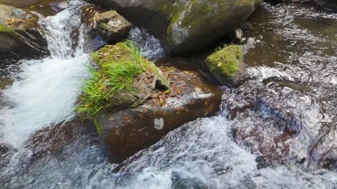 Pristine Mountain Stream in Japan with Crystal Clear Water Stock Footage 336669893