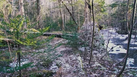 A pristine mountain stream in winter Stock Footage 150052755