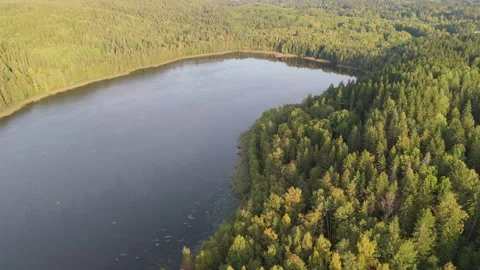 Pristine Northern Lake Surrounded by Boreal Forest Stock-Footage 287214244
