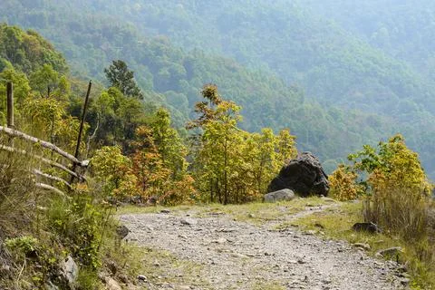 Pristine place in the himalayan dense forest of kalimpong. Stock Photos