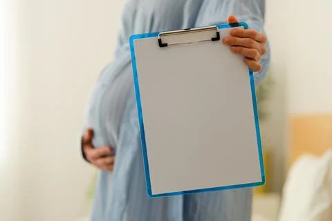 Pristine pregnancy planner notebook 스톡 사진
