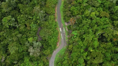 Pristine Rainforest Creek Canopy Flight Amazon Stock Footage 332748716