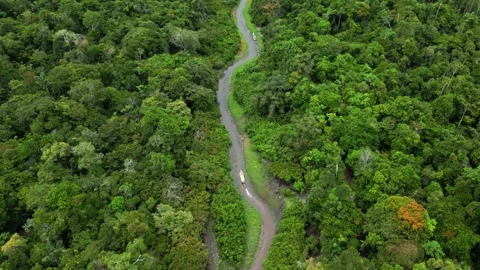 Pristine Rainforest Creek Canopy Flight Amazon Stock Footage 332748718