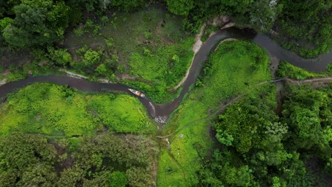 Pristine Rainforest Creek Canopy Flight Amazon Stock Footage 332748723