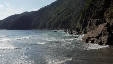Pristine river and beach with waves Stock Footage 259442187