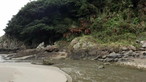 Pristine river and beach with waves Stock Footage 259442224