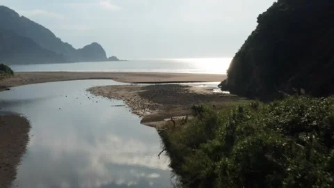 Pristine river and beach with waves Stock Footage 259442452