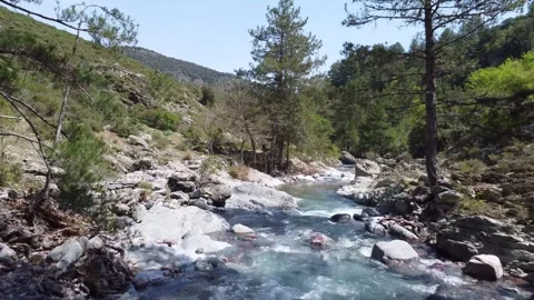 Pristine River Flowing Through a Serene Mountain Forest Stock Footage 253580898