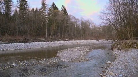 Pristine river flowing in wilderness Stock Footage 151016217
