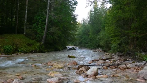 Pristine river flows in an alpine valley Stock Footage 214404880
