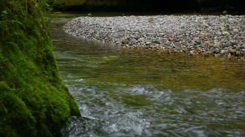 A pristine river flows through the canyon Stock Footage 219691038