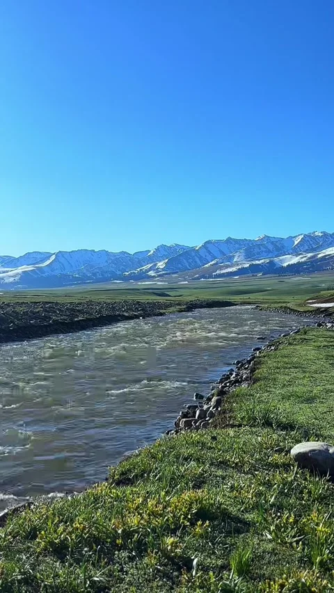 Pristine River Flows Through Ili River Valley with Snow-Capped Tian Shan, Vídeo Stock 337344904