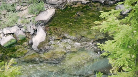 Pristine River 스톡 동영상 129790750