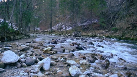 Pristine river Kokra flowing in Alpine glacial canyon Stock Footage 146639460
