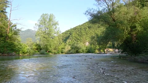 Pristine river Sava Bohinjka flowing in Alpine valley Stock Footage 157103788