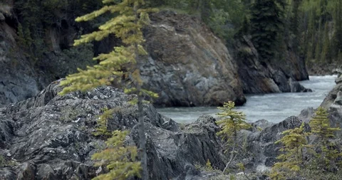 Pristine River Scene in the Yukon Territory Stock-Footage 94747113