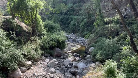 Pristine River Stream Flowing Over Rocks at Chanfi near Nainital, Uttarakhand Stock Footage 345649912