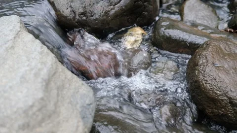 Pristine River Stream in Tropical Asia – Natural Daytime Footage Stock Footage 325516646