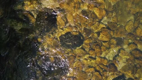 Pristine Rocky River Of Río Lérez In Pontevedra Stock Footage 280834883