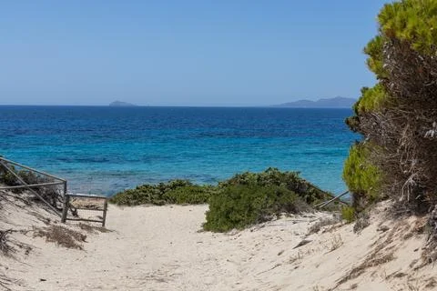 Pristine Sandy Path to Turquoise Sea Foto stock