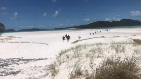Pristine silica white sand on Whitsunday Islands, Australia Stock Footage 333174232