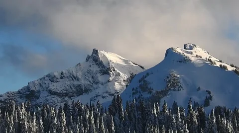 Pristine Snow Covers the Evergreens on Mount Rainier Stock Footage 62493119