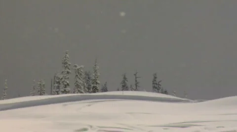 Pristine snowy landscape 1 HD Stockbeeldmateriaal 352592
