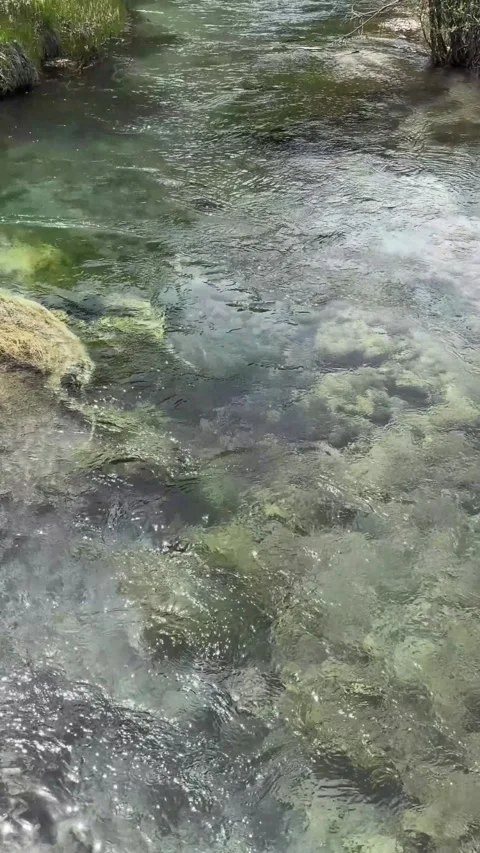 Pristine Stream with Clear Water and Visible Rocks in Jiuzhaigou Valley, Sichuan Stock-Footage 336878801