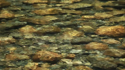 Pristine stream 動画素材 32029742