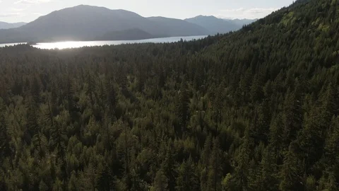 Pristine sub alpine lake in Washington's Central Cascades - Snoqualmie Pass Stock Footage 111502839