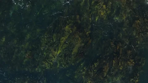 Pristine Tasmania coastline from drone perspective Video stock 176708644