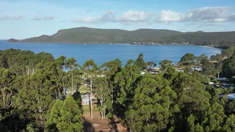 Pristine Tasmania coastline from drone perspective Video stock 176709383