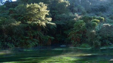 Pristine Te Waihou Bue Spring in New Zealand on a cold winter morning Stock Footage 94839221