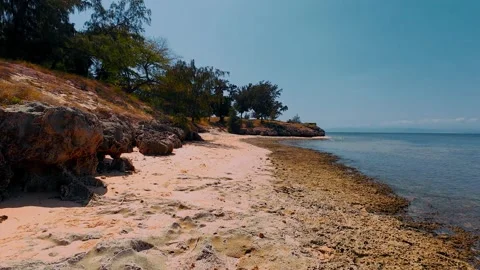 Pristine Tropical Beach with Basket Boat and Clear Shallow Water Stock Footage 337582823