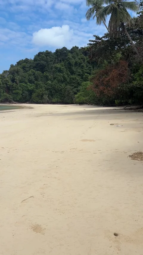 Pristine Tropical Beach with Lush Forest and Blue Sky, Redang, Malaysia Stock Footage 328385937