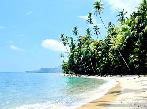 Pristine Tropical Beach with Palm Trees and Turquoise Water in Indonesia Stock-Fotos