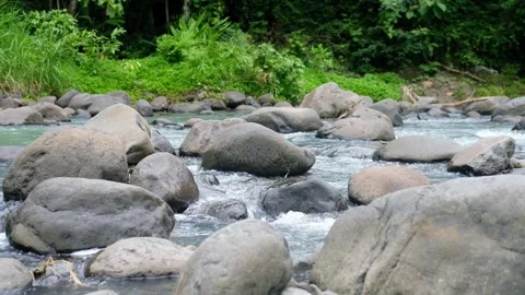 Pristine Tropical River Stream in Southeast Asia – Calm Day Scene Stock Footage 325516622