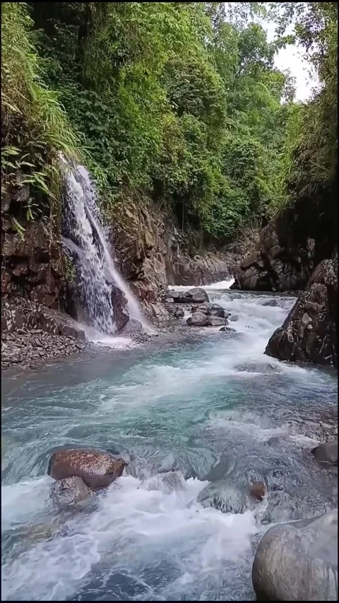 Pristine tropical waterfall flowing into a clear turquoise river in a lush g Video stock 328989574