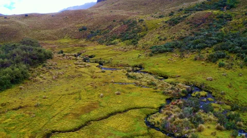 A pristine trout stream meanders through a high-altitude mountain valley Video stock 162351243