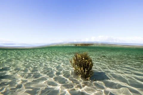 Pristine underwater scene Stock Photos