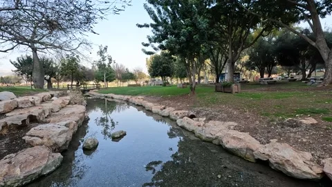 A pristine water channel reflecting trees in Ein Harod National Park and Na.. Stock Footage 298838256