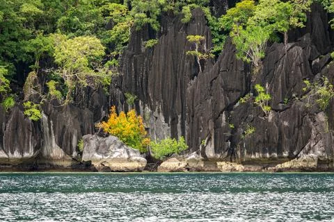 Pristine water at Coron, Palawan, Surrounded by limestone cliffs Stock Photos