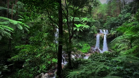 Pristine Waterfall in Lush Forest – Nature's Tranquility in 4K Video stock 296520723