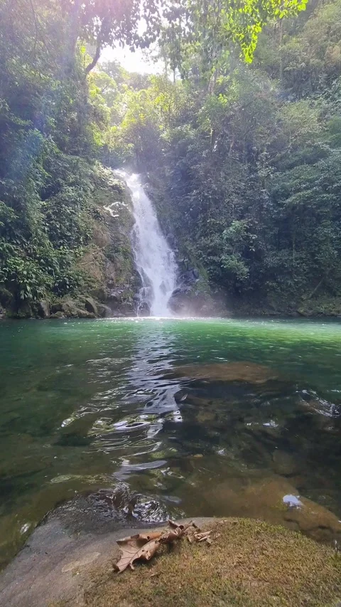 Pristine Waterfall in Lush Tropical Rainforest with Crystal Clear Emerald Pool Stock Footage 345100788