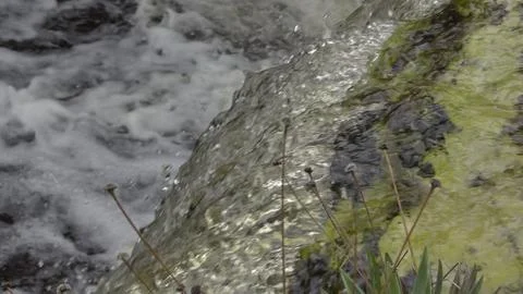 Pristine Waterfall in Super Slow Motion with Greenery Foto stock