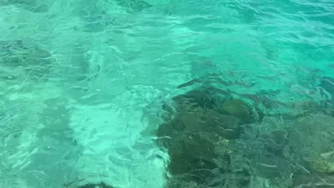 Pristine Waters Stock Footage 254229525